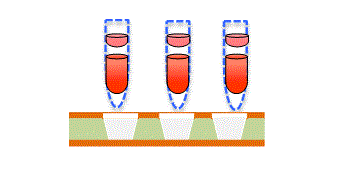 Stability in Processing